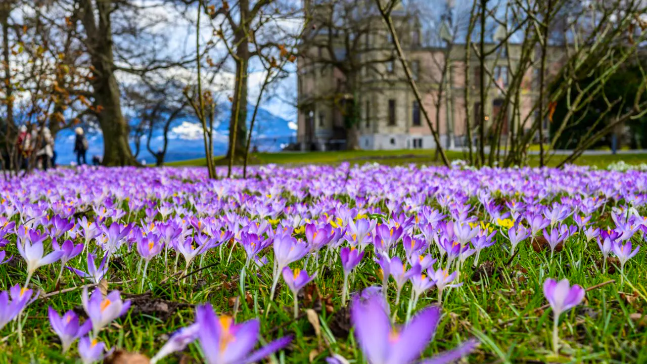 Klima. Der Frühling beginnt immer früher
