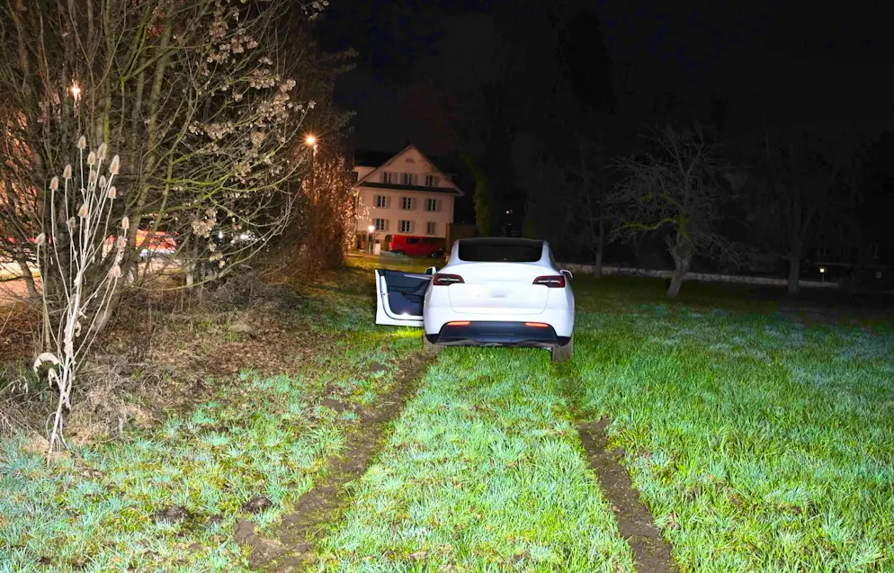 A teenager's joyride in the canton of Lucerne ended in a meadow.