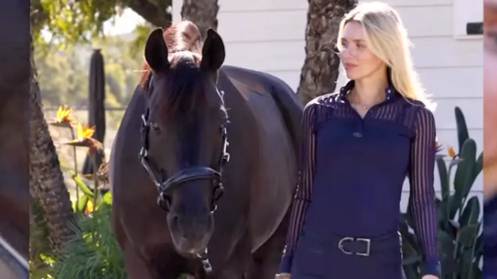«Ich war sofort bewusstlos». Die schwangere Frau von Marco Reus landet nach Reitunfall im Spital