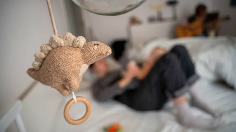 Cries too loud. Neighbor disturbed by women giving birth - birth center must close room