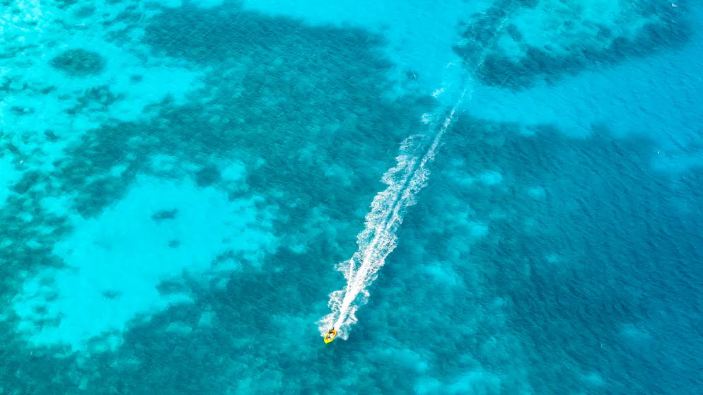 Les Seychelles sont un paradis pour les plongeurs.
