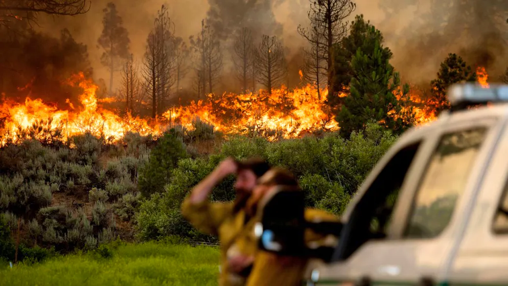 Particolarmente gravi sono stati gli incendi in California.