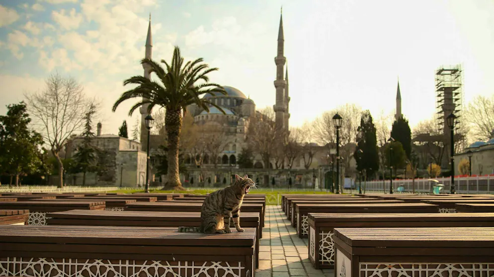 La Turchia occupa il primo posto della classifica. Qui il franco ha guadagnato di più.