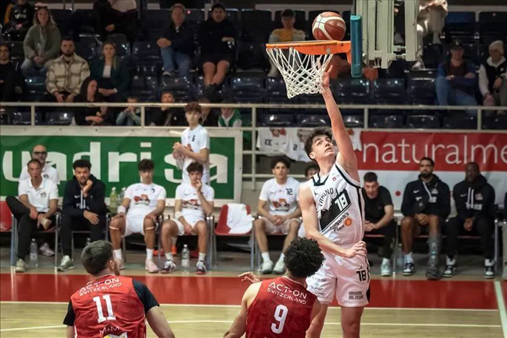 Bernaschina a canestro
