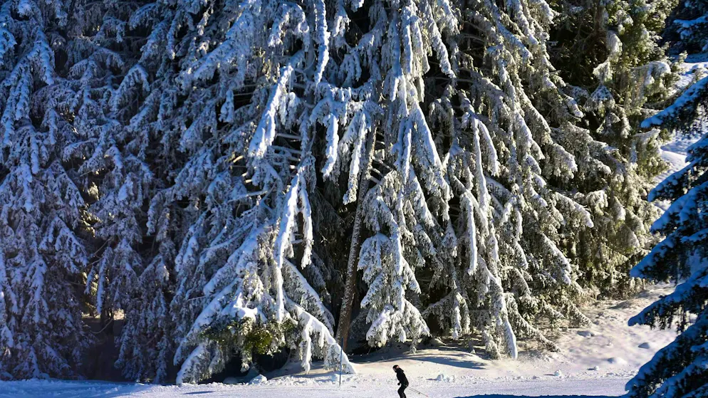 Meteo. In Svizzera torna l'inverno: pioggia, vento e neve anche fino in pianura