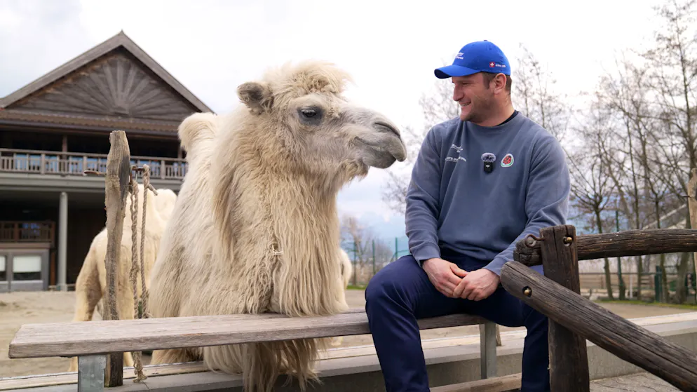 Wrestling king Orlik visits the zoo. 