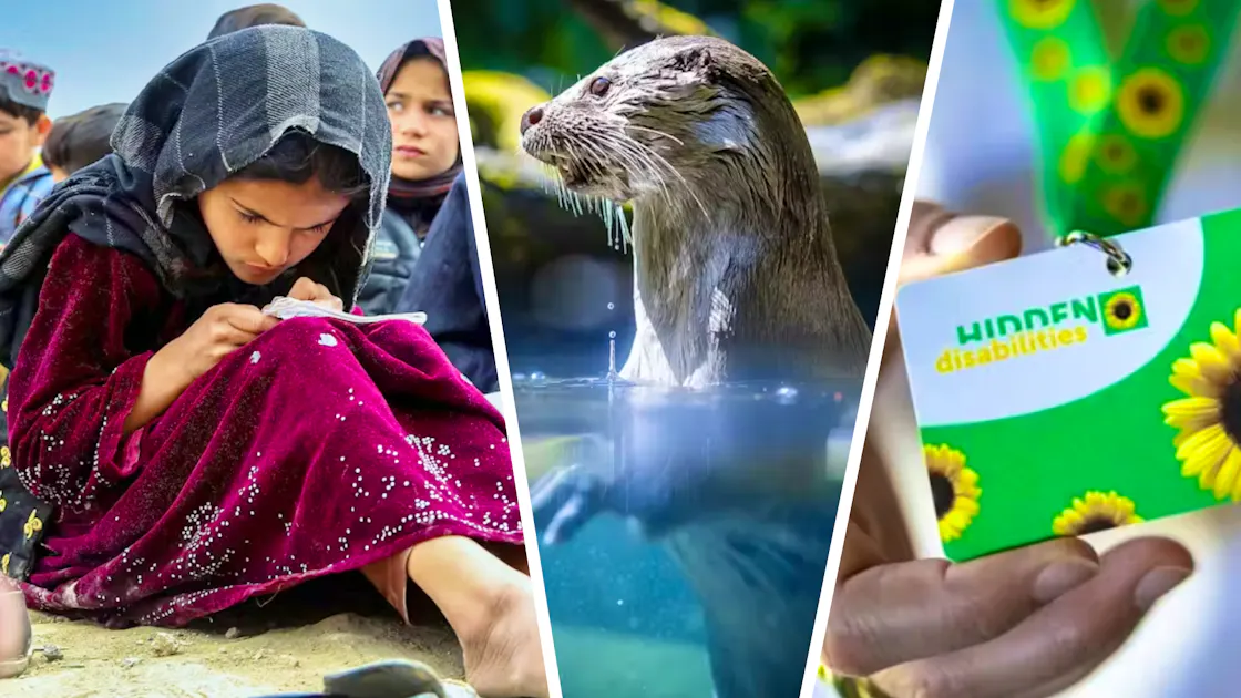 Inspiring Progress: Unforgettable Moments of Hope in Today's World