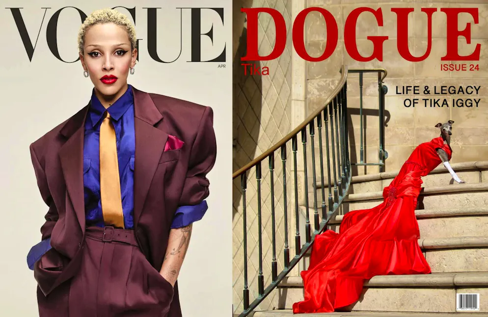 The latest issue of the fashion magazine "Vogue" and the dog magazine "Dogue". The two magazines are in a legal dispute.
