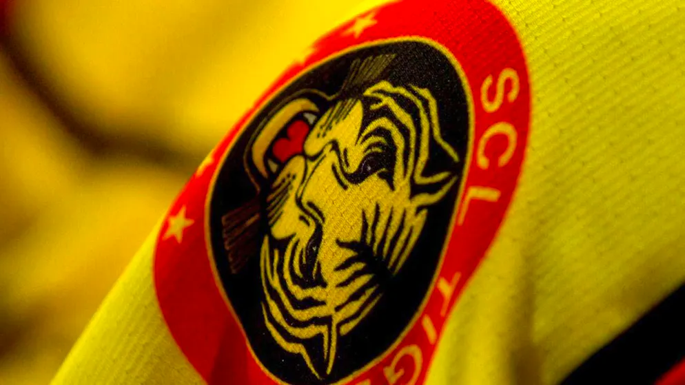 The SCL Tigers sign another Swede, forward Emil Pettersson