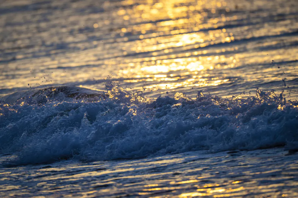Noch immer gibt es am Samstag keine bestätigte Sichtung des Buckelwals.