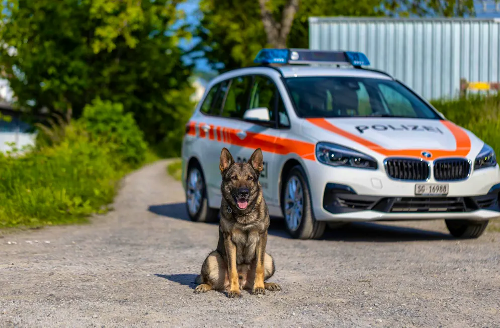 Police dog Erol was able to catch the thief.