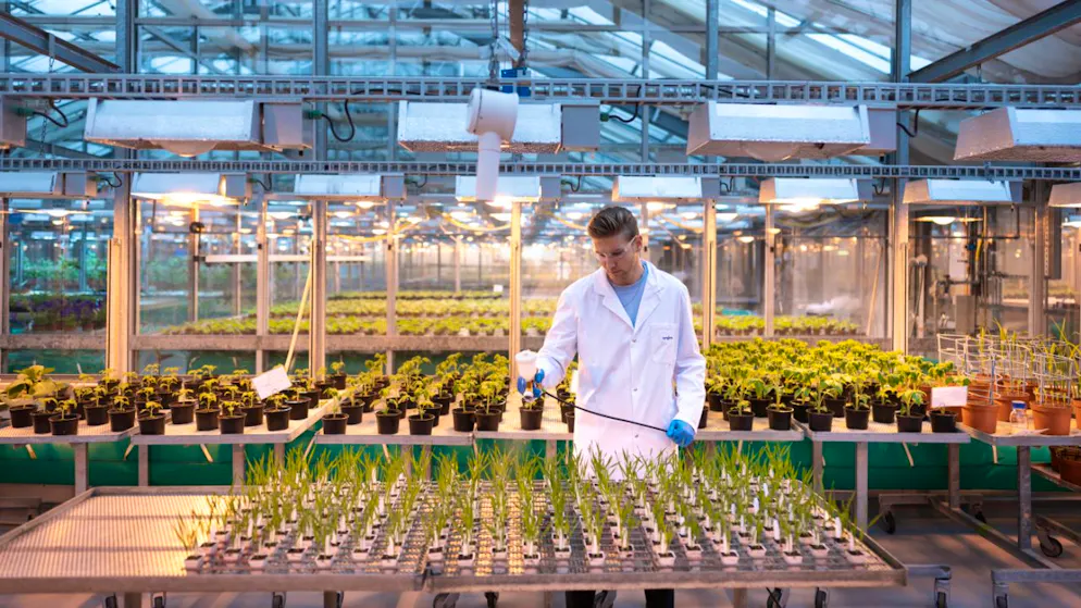 Der Pflanzenschutz- und Saatguthersteller Syngenta hat 2025 den operativen Gewinn deutlich gesteigert. (Archivbild)