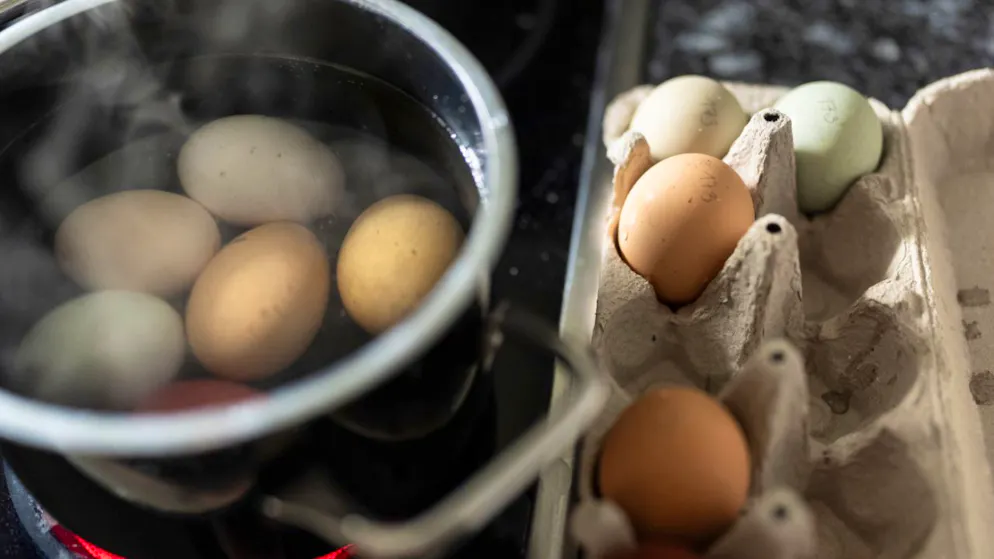 Ein Ei hartkochen ist einfach? Offenbar nicht, wenn man ein perfekt gekochtes Ei will. (Symbolbild)