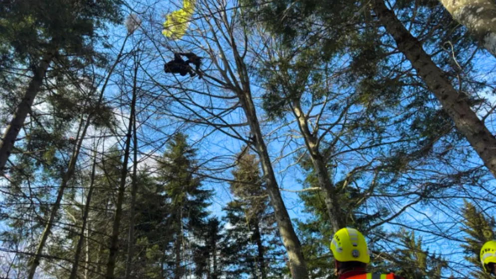 Vorfall bei Zugerberg. Zwei Gleitschirmpiloten kollidieren in der Luft – Mann landet in 15 Metern Höhe im Baum
