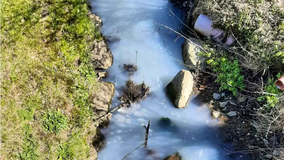 Ausgelaufene Milch verschmutzte einen Bach in Villariaz, Fische starben dabei bis jetzt keine.