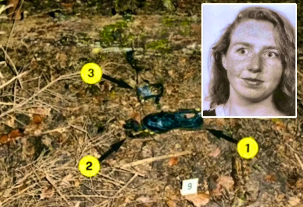 Heidi Scheuerle è scomparsa l'8 ottobre 1996. Il caso non è ancora stato risolto.