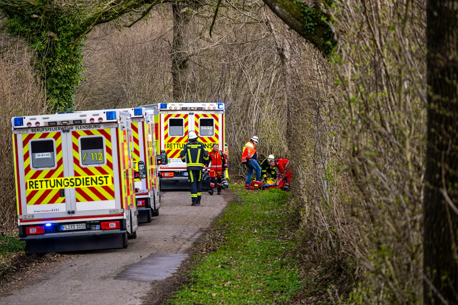 Two women and a baby killed by falling tree