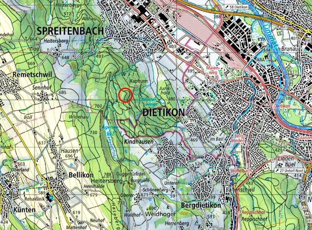 Un raccoglitore di funghi ha trovato delle ossa in un'area boschiva tra Dietikon e Spreitenbach, che si sono rivelate essere i resti di Heidi. Il cerchio rosso indica il luogo del ritrovamento.