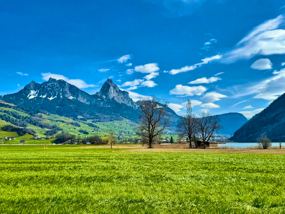 Idées d'excursions CFF - Printemps 2026 - Luzern. Lauerzsee: un emplacement idyllique avec vue sur les Mythen.
