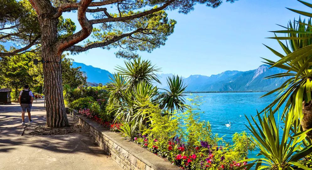 Idées d'excursions CFF - Printemps 2026 - Lavaux. Le célèbre chemin au bord du lac à Montreux affiche une ambiance méditerranéenne.