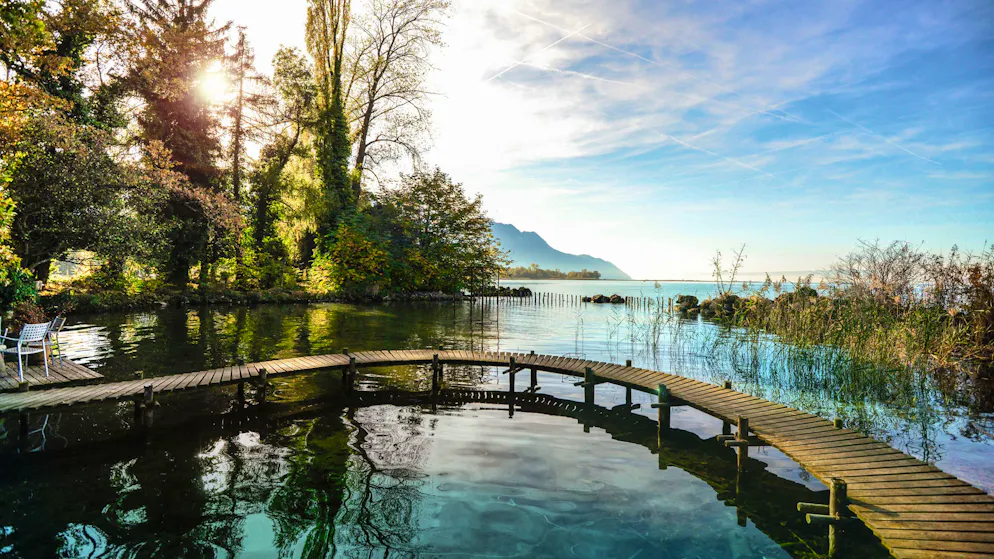 SBB Ausflugstipps – Frühling 2026 – Lavaux. Idylle pur: Das Naturparadies Les Grangettes. 