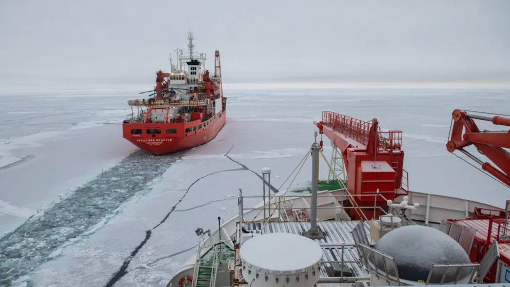 Mitten in der Antarktis. Forscher stolpern über Insel, die auf keiner Karte steht