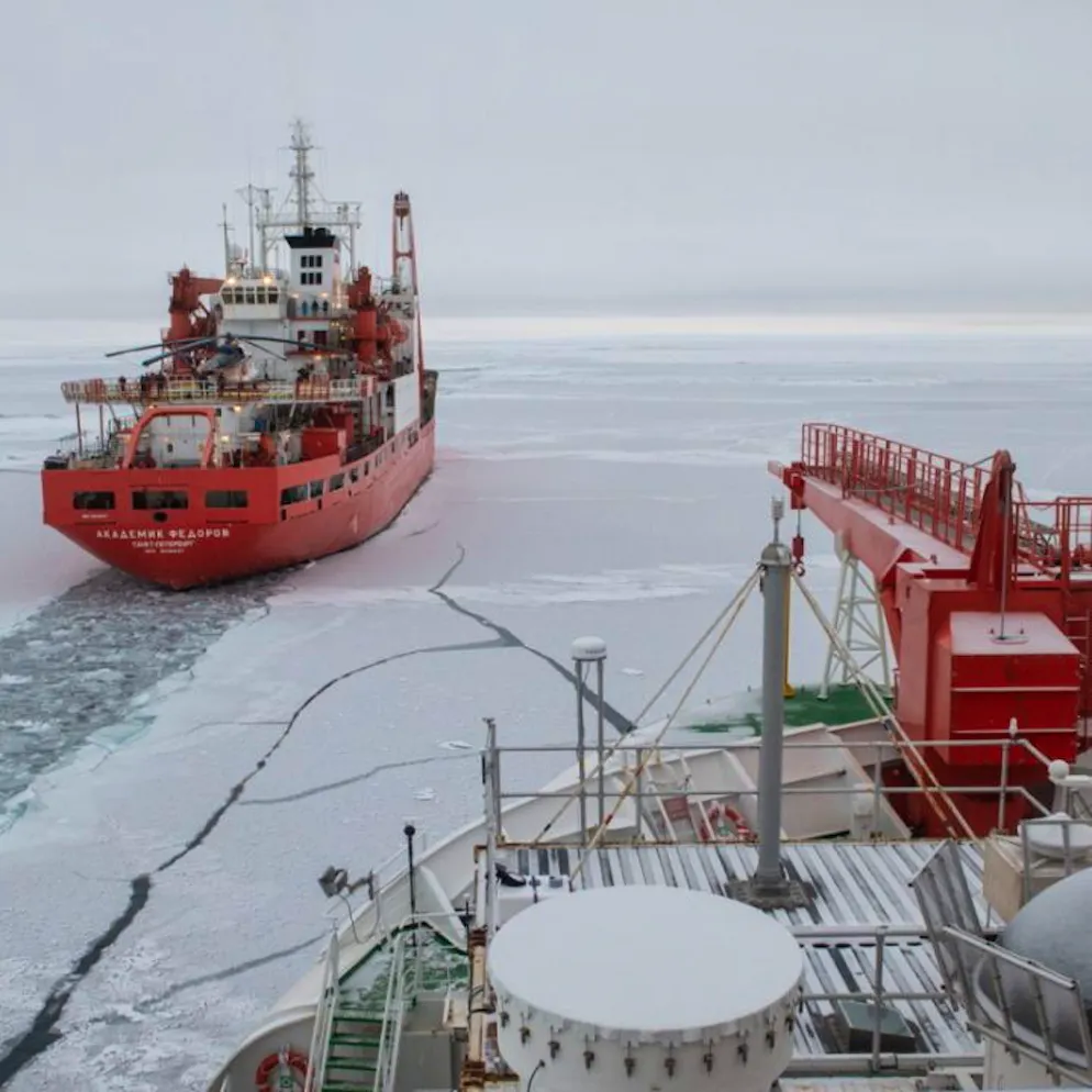 Mitten in der Antarktis. Forscher stolpern über Insel, die auf keiner Karte steht