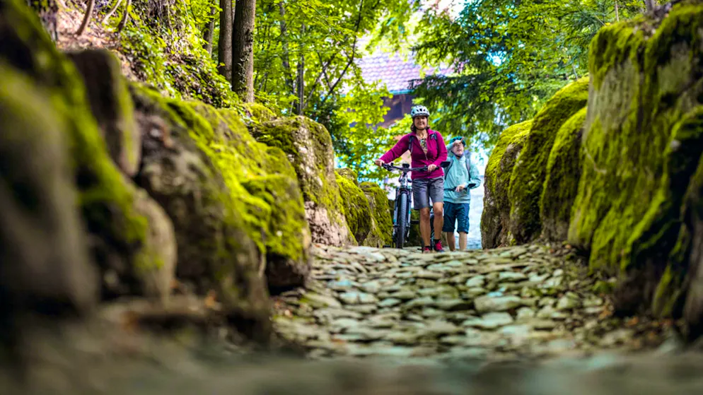 Idées d'excursions CFF - Printemps 2026 - Luzern. Au plus près de l’histoire suisse: c’est dans le «Chemin creux» que Guillaume Tell a tué le bailli impérial Hermann Gessler.
