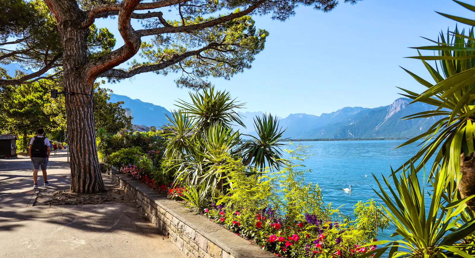 Die berühmte Promenade in Montreux verströmt mediterranes Flair.