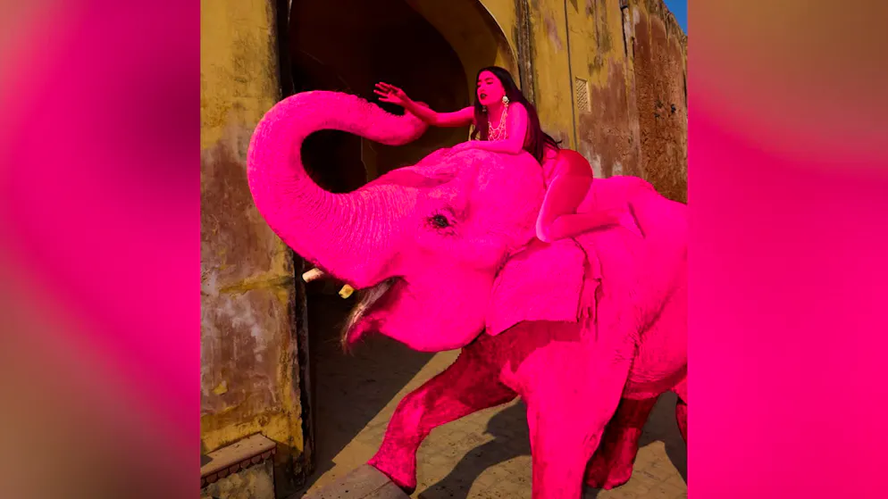 Kunst oder Tierquälerei?. Rosa bemalter Elefant sorgt für Shitstorm – Behörden ermitteln