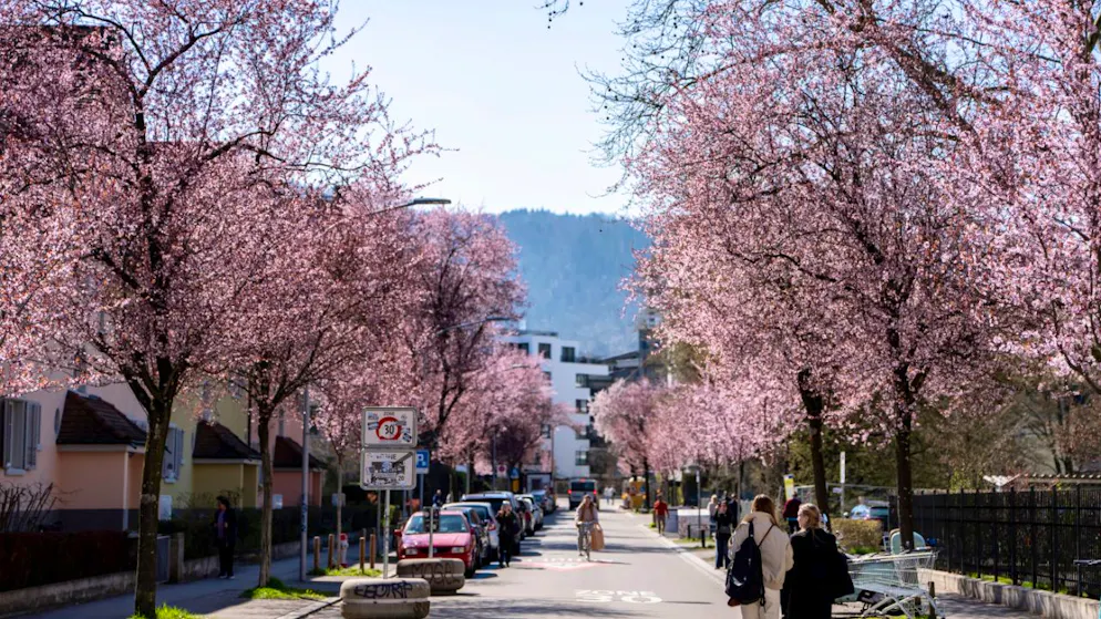 Deutlicher Anstieg. Zweitwärmster März in Europa seit Messbeginn