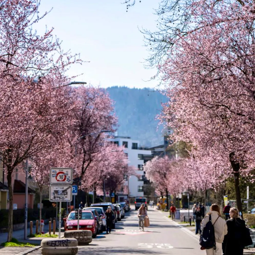 Deutlicher Anstieg. Zweitwärmster März in Europa seit Messbeginn