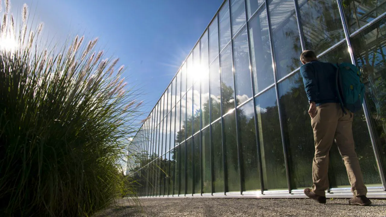 Expositions – VD. Le Musée de l'absurde fait escale au Jardin botanique de Lausanne