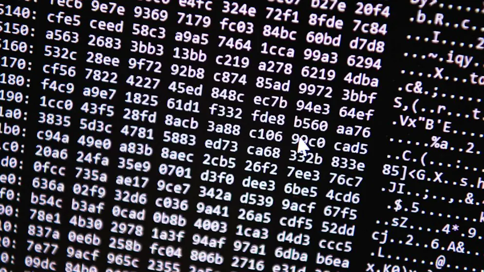 Cyberattaques. Le marché des cyberassurances est en pleine croissance