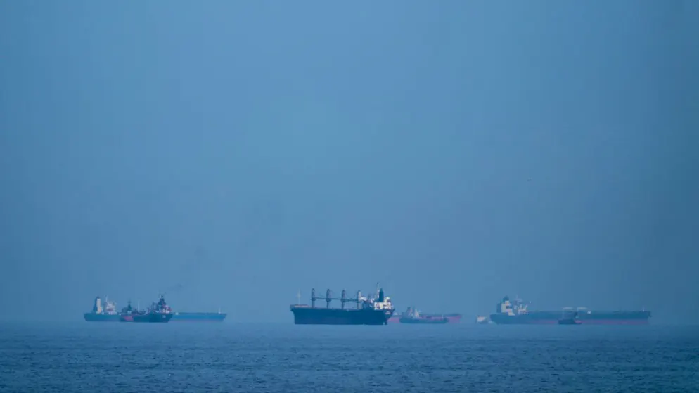 Öltanker und Frachtschiffe reihen sich in der Strasse von Hormus auf, gesehen von Khor Fakkan. Die Bundesregierung fordert für die Strasse von Hormus einen unbehinderten Schiffsverkehr auf Grundlage internationaler Abkommen. Foto: Altaf Qadri/AP/dpa