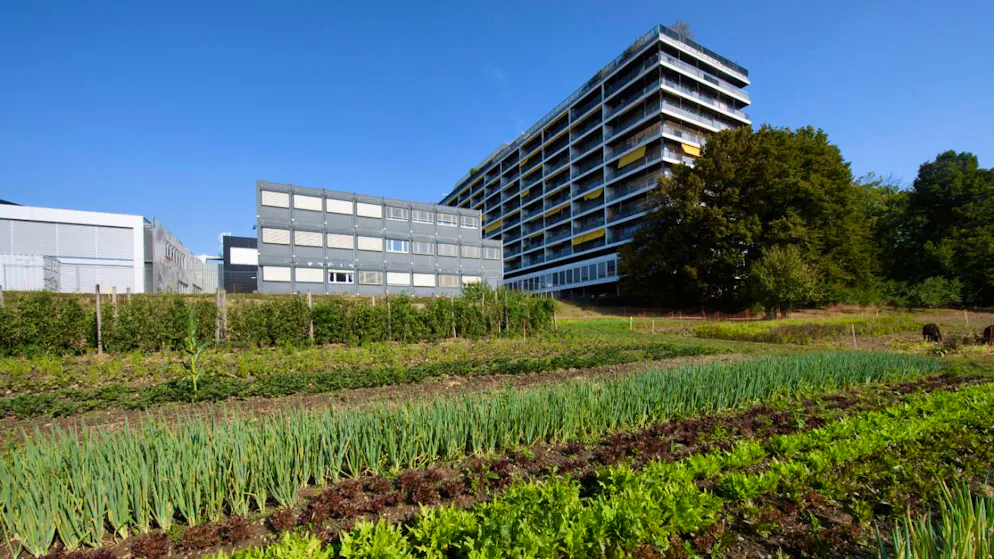 Parmi les lieux à découvrir lors des 48 heures de l'agriculture urbaine qui auront lieu du 24 au 26 avril à Genève: la Ferme de Budé (archives).