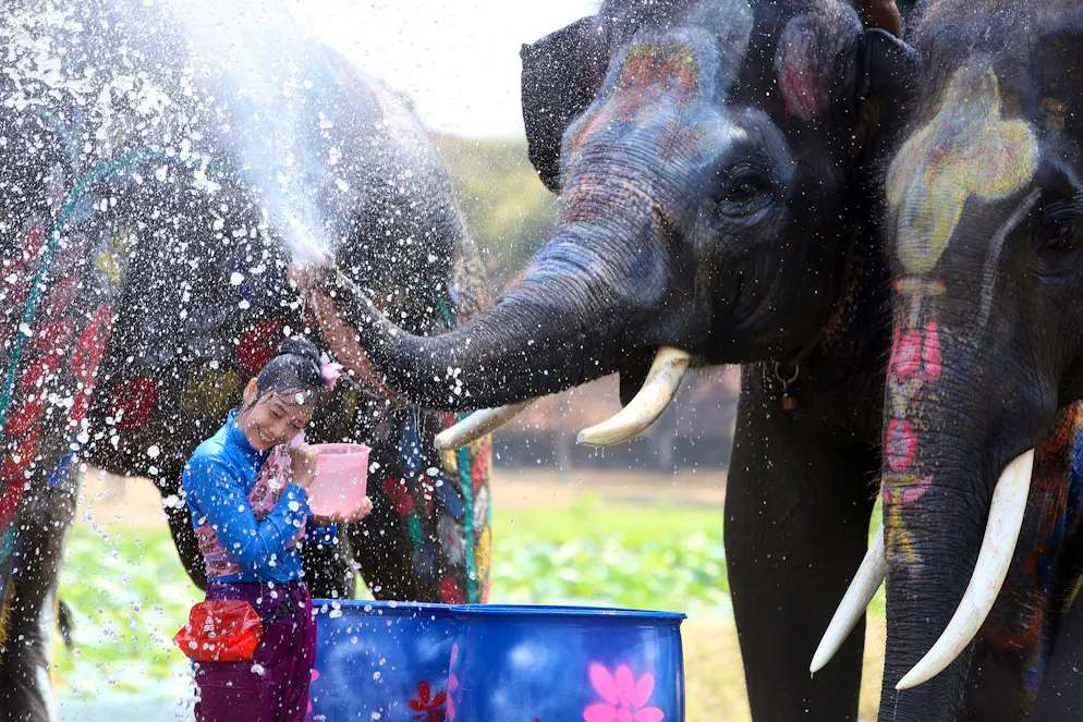 Thailands wildes Wasserfest startet mit Hitzealarm – Gallery. In der ehemaligen Hauptstadt Ayutthaya spritzen auch Elefanten munter mit.