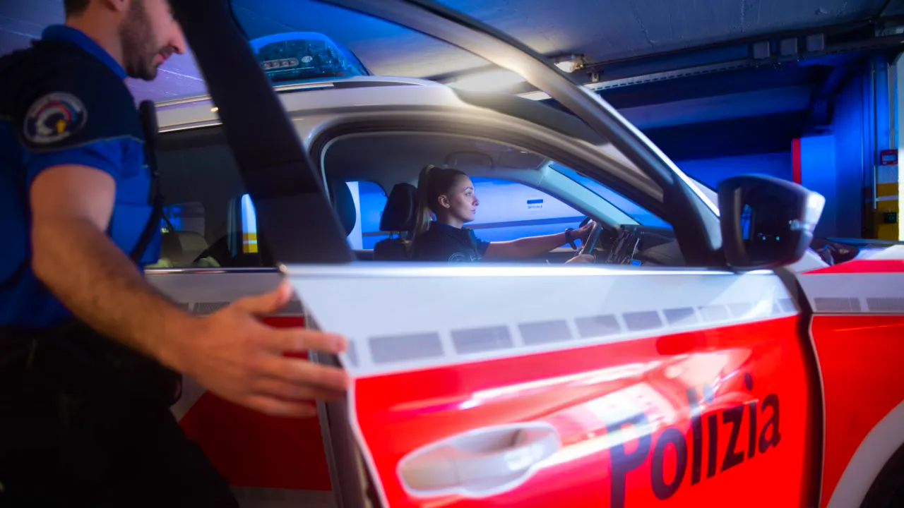 Accident at work. 50-year-old forestry worker killed by tree in Ticino