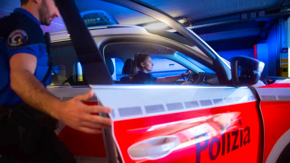 A 50-year-old man died on Tuesday during forestry work in the Locarno region. (symbolic image)
