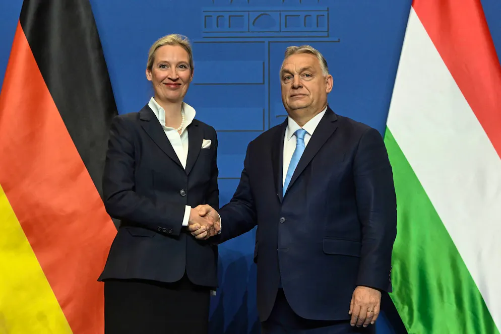 Wahlklatsche für Orban – Schock für Europas Rechte? . AfD-Parteichefin Alice Weidel pflegte ein gutes Verhältnis mit Ungarns jetzt abgewähltem Regierungschef Viktor Orban. 