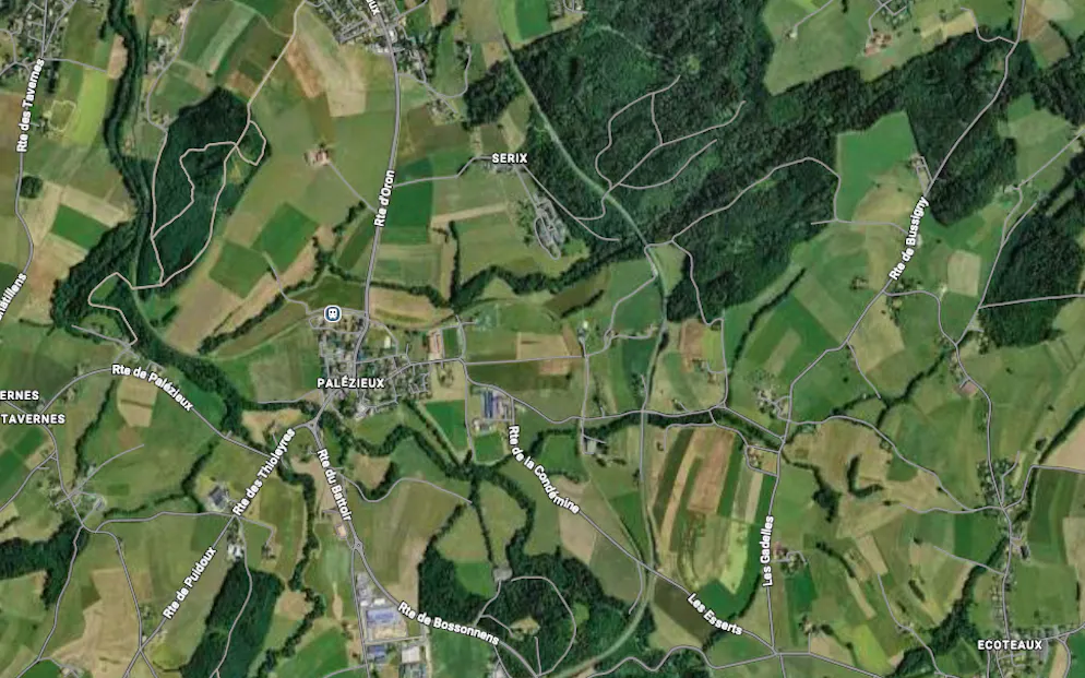 Un ouvrier agricole est décédé après avoir été chargé par un taureau à Palézieux-Village VD (image d'illustration).
