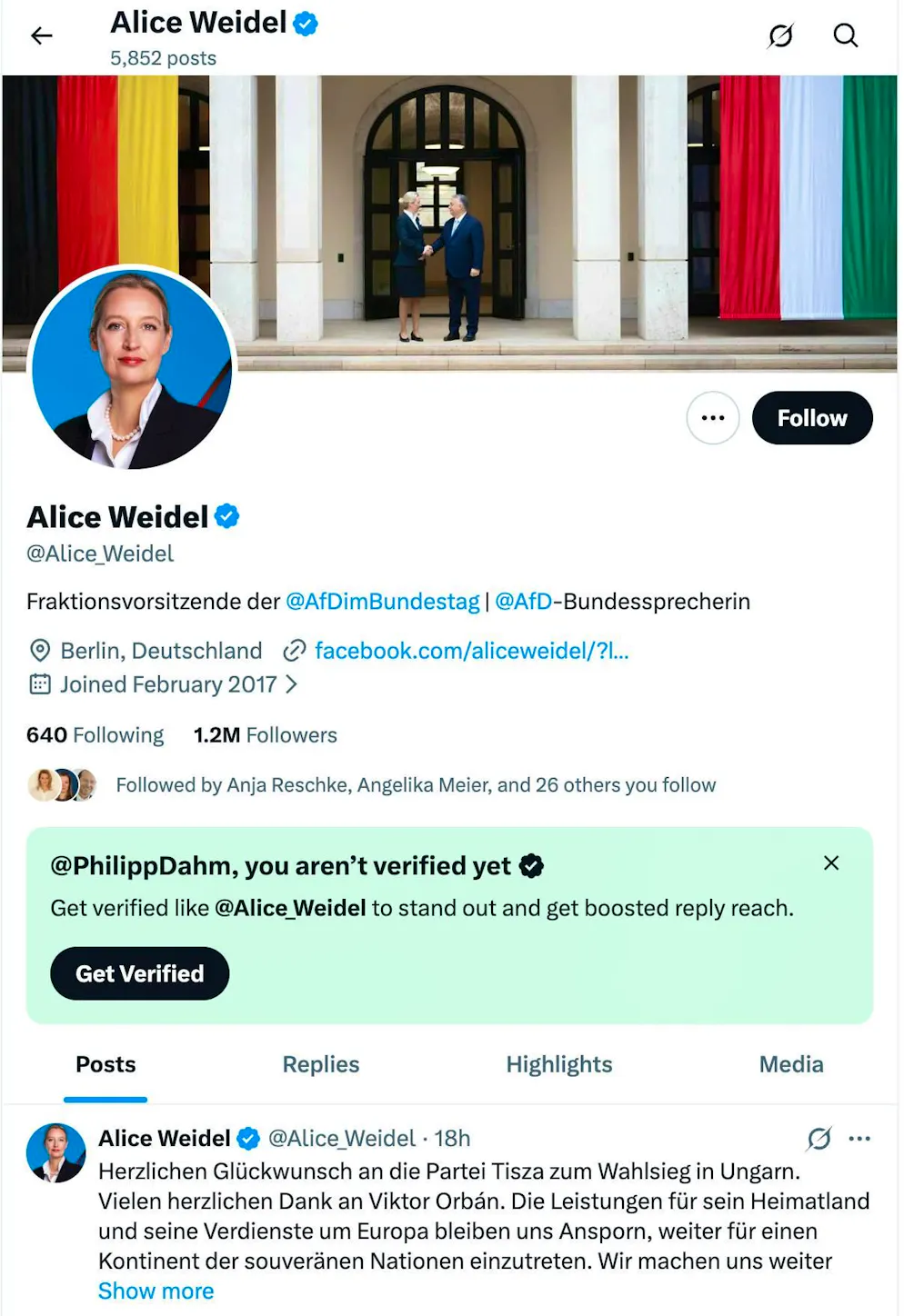 Alice Weidel's X appearance.