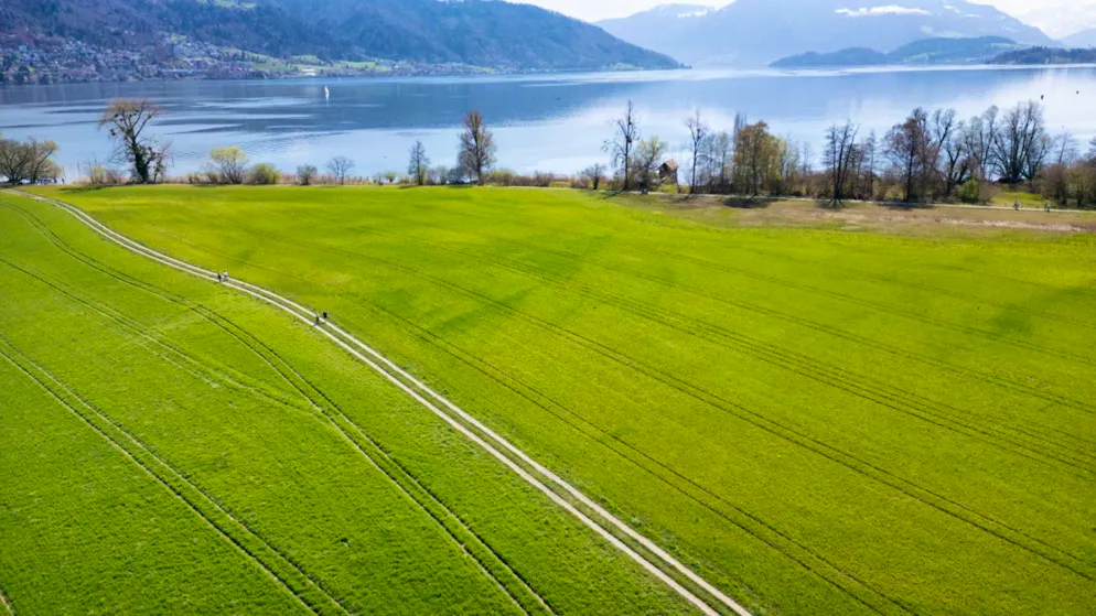 Zuger Lorzenebene ist die Landschaft des Jahres 2026 – Gallery. Personen laufen auf einem Weg durch ein Feld bei der Chollermülli-Landschaft der Lorzenebene.
