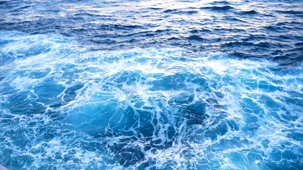 Die Atlantikströmung Amoc bringt warmes Wasser aus den Tropen nach Europa.