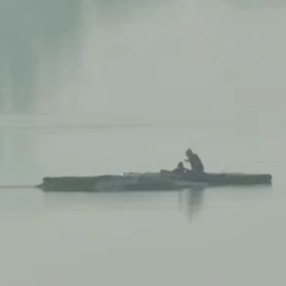 Hoffnung im Ostsee-Drama. Wal bewegt sich wieder +++ Private Rettungsaktion geht weiter