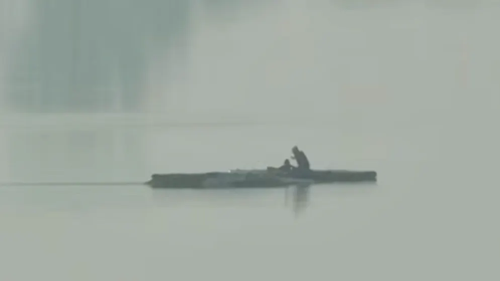 Hoffnung im Ostsee-Drama. Wal bewegt sich wieder +++ Private Rettungsaktion geht weiter