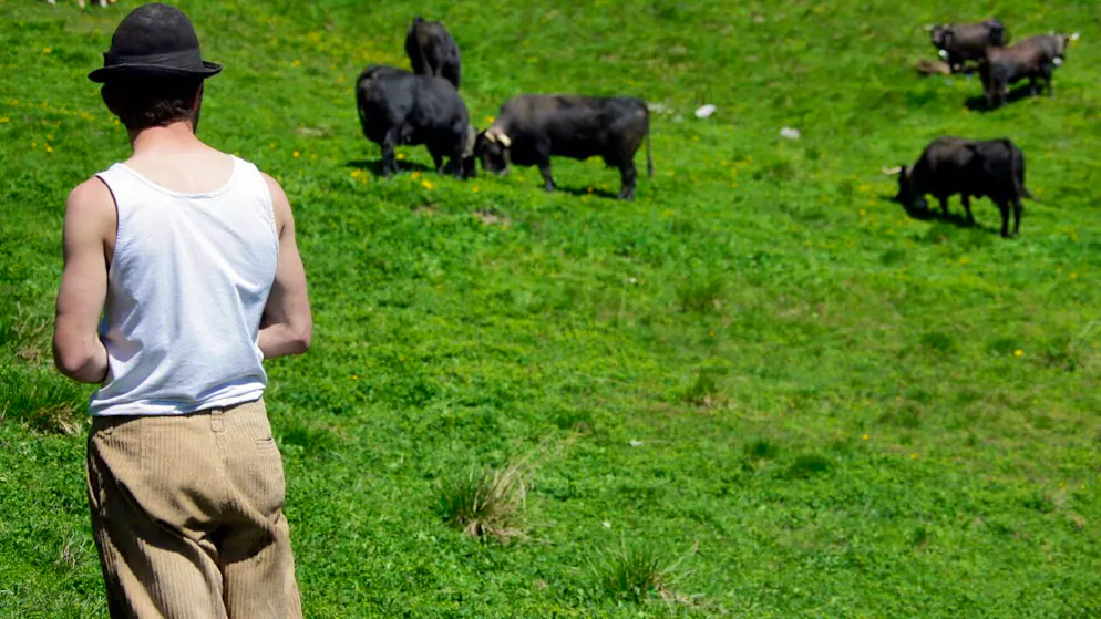 bluewin.ch - Alpine farming lacks experienced personnel