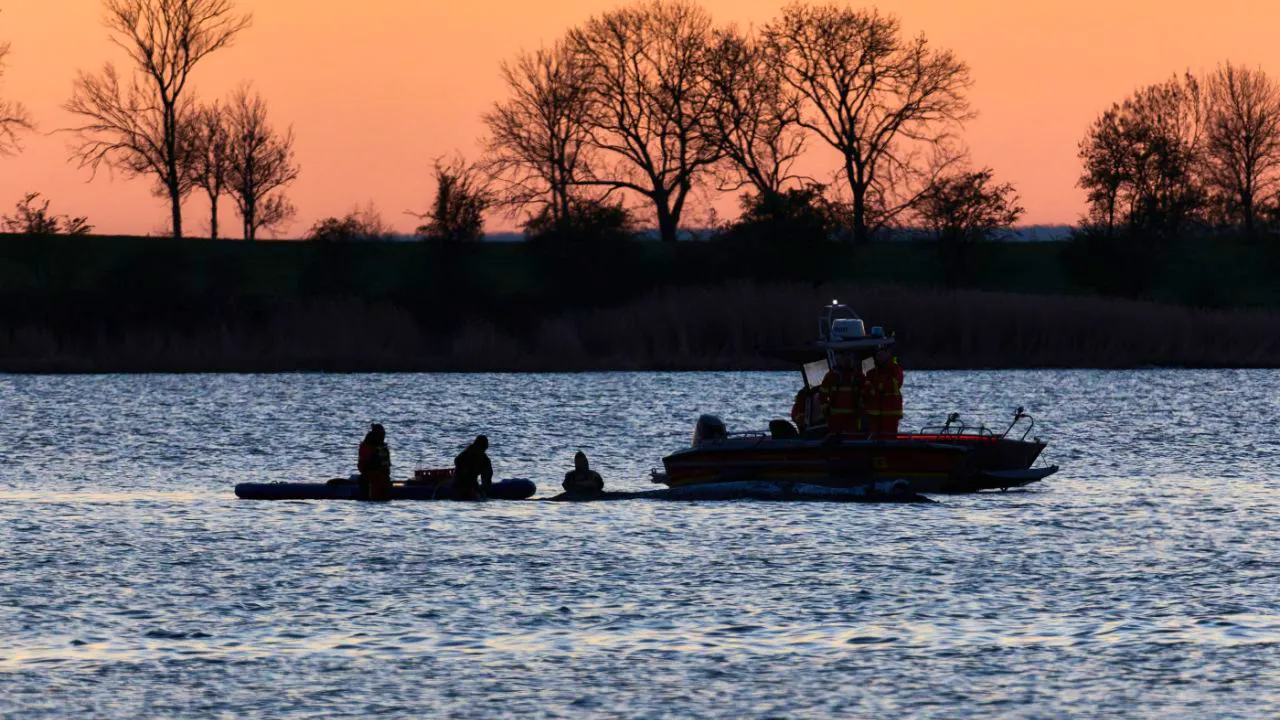 Germany. Low water levels cause problems for whale helpers