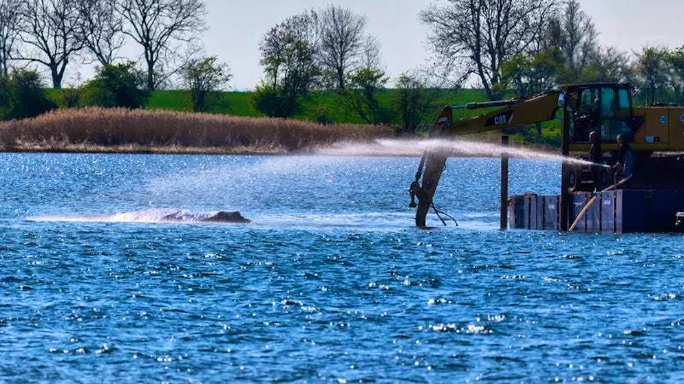 Helpers spray the stranded humpback whale off the island of Poel with water.