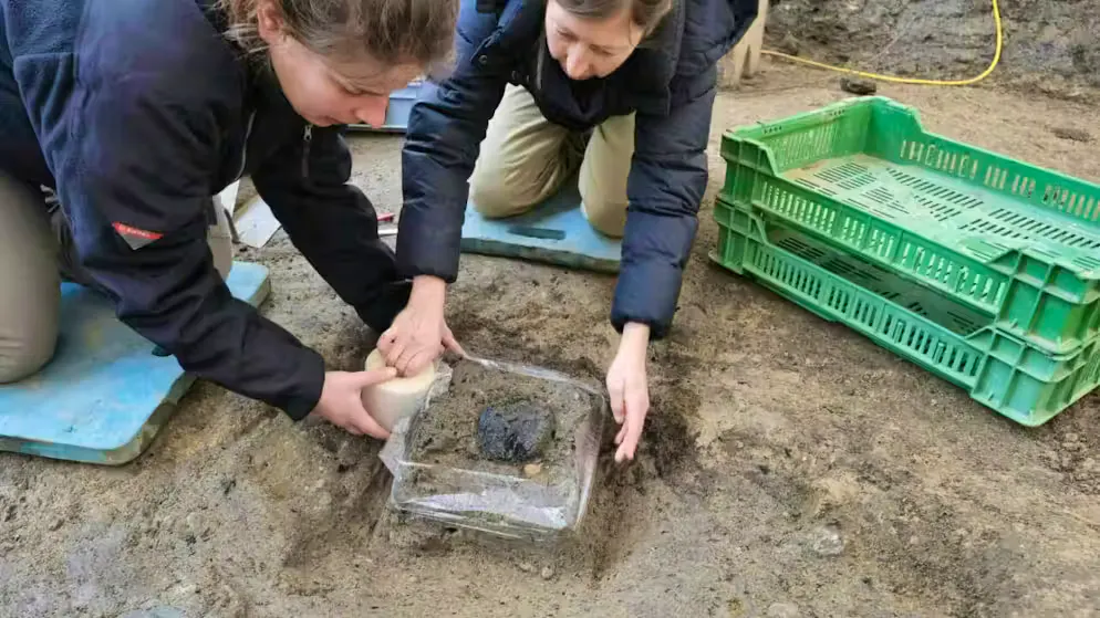 Canton Argovia. Rinvenuto a Windisch un pane romano: si tratta di un reperto raro, il primo in Svizzera